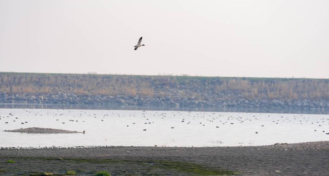 İklim değişikliği Diyarbakır’daki Kabaklı Göleti’ni kuruttu 3